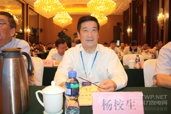 中國農(nóng)機(jī)工業(yè)協(xié)會風(fēng)能設(shè)備分會楊校生理事長、