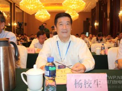 中國農(nóng)機工業(yè)協(xié)會風能設(shè)備分會楊校生理事長、