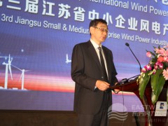 江蘇省經濟和信息化委員會經濟合作兼產業(yè)合作處處長裔大陸