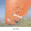 葉片售后服務(wù)圖片3